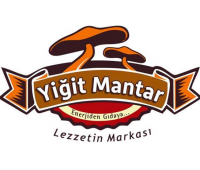 Yiğit Mantar